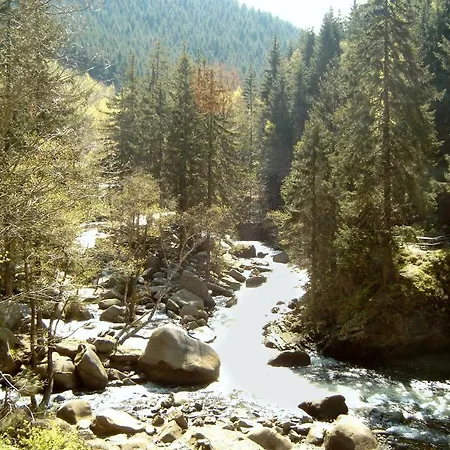 Ferienwohnung Lägenhet Langelsheim