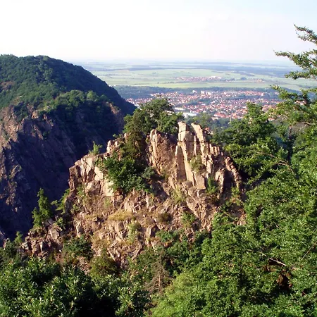 Lägenhet Ferienwohnung Langelsheim
