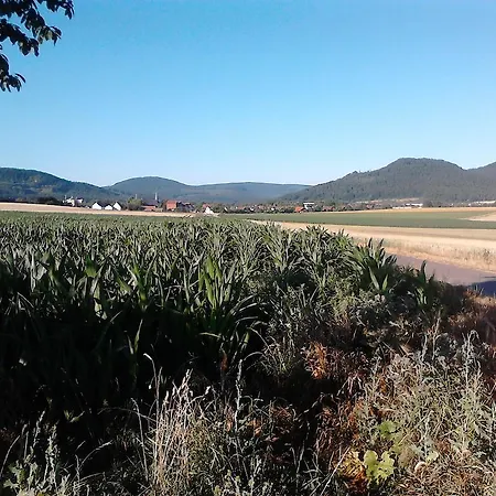 Ferienwohnung Langelsheim