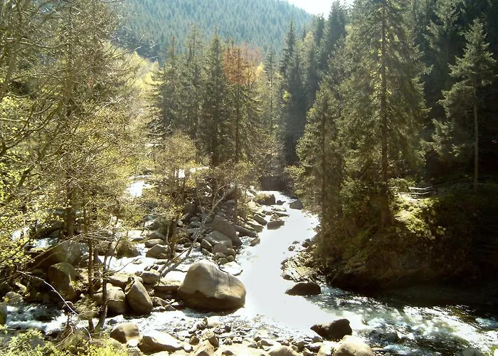 Ferienwohnung Apartman Langelsheim