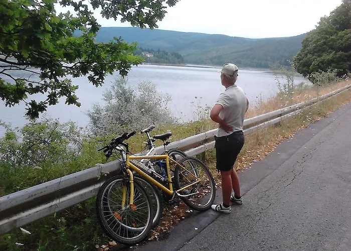 Ferienwohnung * Langelsheim